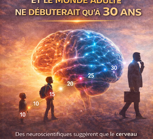 Le cerveau traverserait 5 âges et le monde adulte ne débuterait qu'à 30 ans.