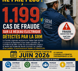 1.199 cas de fraude sur le réseau électrique détectés par la SRM.