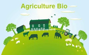 L'agriculture biologique : un bilan des avantages et des défis
