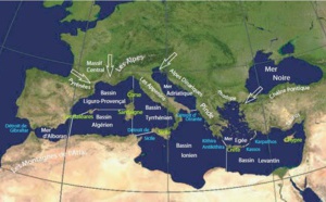 Le temps presse pour protéger la Méditerranée, avertit Oceana