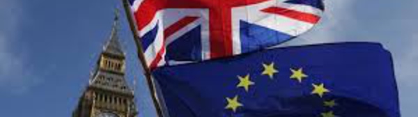 Brexit or not Brexit ?