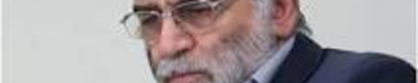 Assassinat du spécialiste du nucléaire Iranien