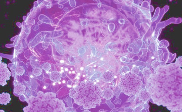 Covid-19 et Maghreb : Un avenir plus collaboratif ?