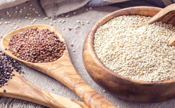 Youssoufia &amp; Rehamna : soutien consistant aux producteurs du Quinoa 