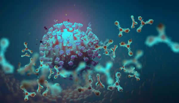 Covid-19 : La variante sud-africaine préoccupe