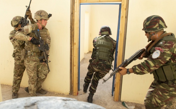 Le « Lion africain » dans les provinces du Sud