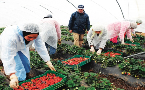 L’ANAPEC et l’OIM débattent du cas des travailleuses saisonnières en Espagne