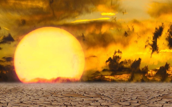 Climat : 2020 une année des plus sèches depuis 1981