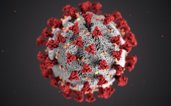Les vaccins efficaces contre «tous les variants du virus», selon l'OMS