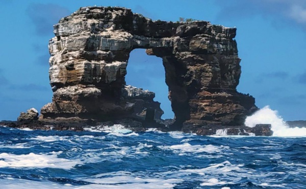 L'arche de Darwin des Galápagos s'est écroulée : Léonardo Dicaprio réagit ! 