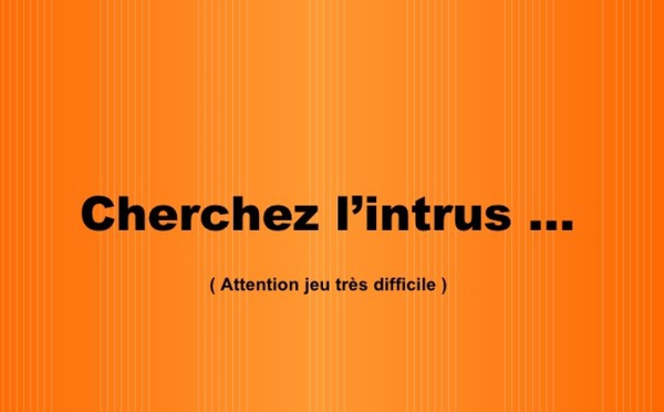 Jeu :  Trouvez l'intrus dans ces images ! 