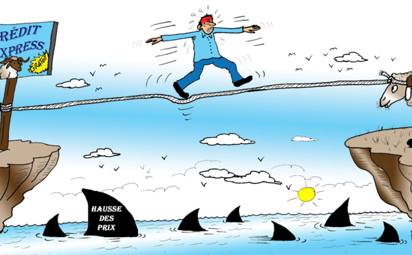 Mon « cher » mouton…!!!