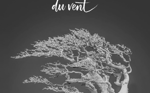 Layla Triqui tourne un nouveau long-métrage entre Tanger et Bordeaux