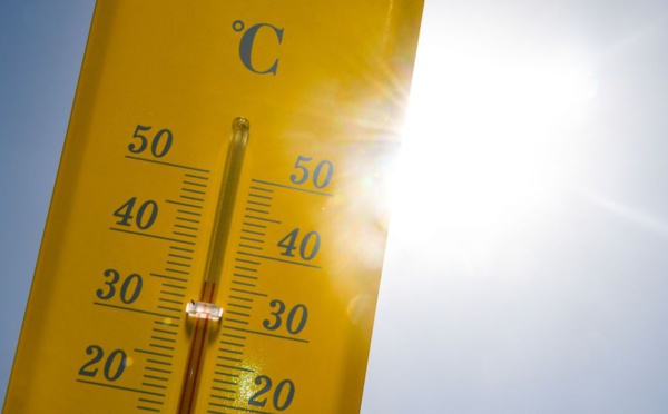 Des records absolus de températures maximales ont été battus