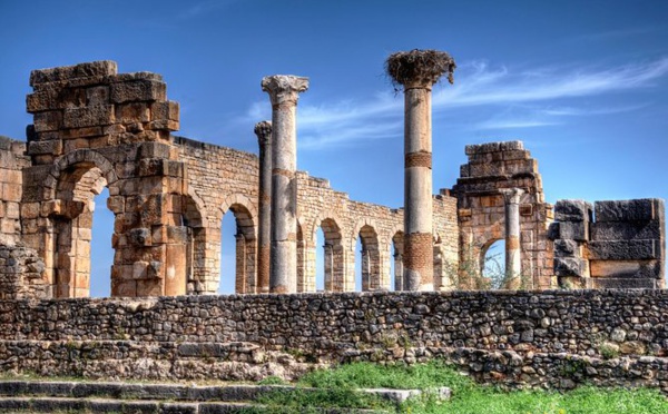 Volubilis : Les Etats-Unis accordent 1,7 million de dirhams pour la restauration des Mosaïques