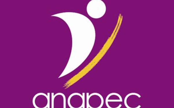 Les contrats d’insertion professionnelle (ANAPEC) : duperie ou opportunité ?
