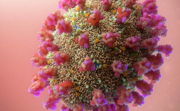 En jeu vidéo : découvrez pourquoi certains variants s'imposent ou...pas