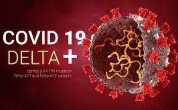 Delta Plus : le variant du variant !