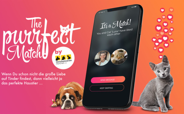 Un refuge allemand lance une plateforme d'adoption pour chats et chiens 