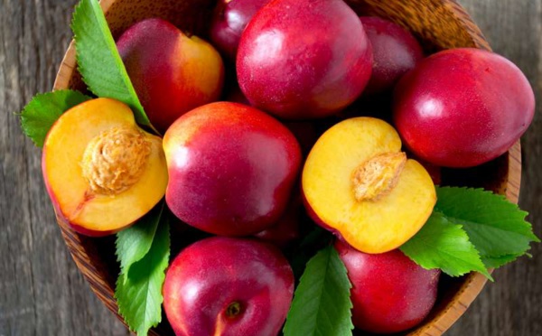 Des recettes rafraîchissantes aux nectarines