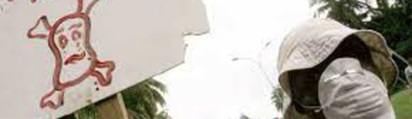 Des agences de l'ONU veulent réduire les décès liés aux facteurs environnementaux !