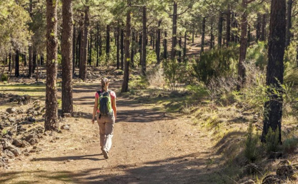 7000 ou 10000 : Combien faut-il faire de pas par jour ?