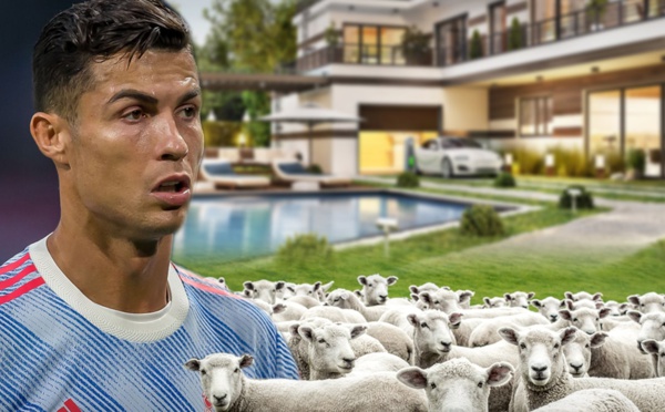 Cristiano Ronaldo déménage de sa maison à cause d'un ... mouton !