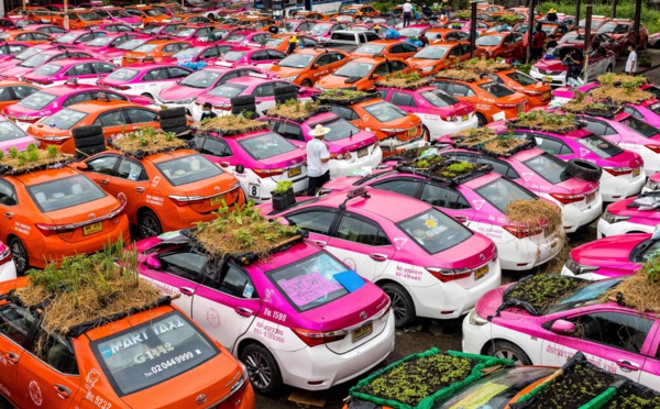 Bangkok : Des taxis font pousser des légumes sur leur toit