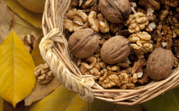 5 bonnes raisons pour consommer les noix