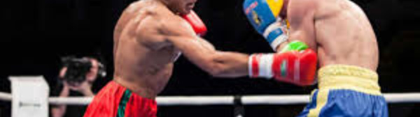 Muay-thaï: le Maroc présent au championnat d'Afrique, au Caire