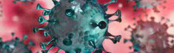 Covid-19 : on sait enfin pourquoi certaines personnes résistent naturellement au virus