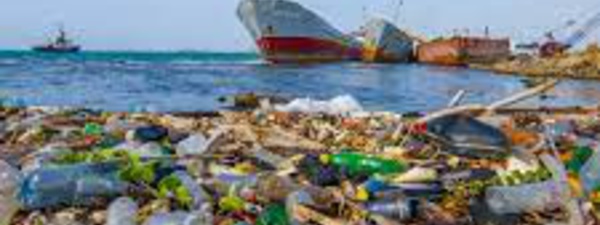 Les USA sont les plus gros producteurs de déchets plastiques  