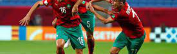 Coupe arabe : Vahid lorgne des joueurs d'Ammouta