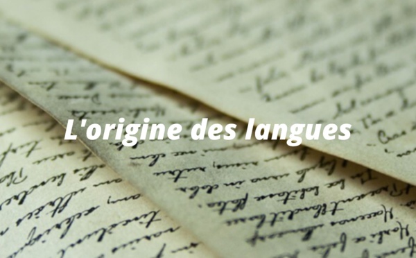 Webinaire : l'origine des langues