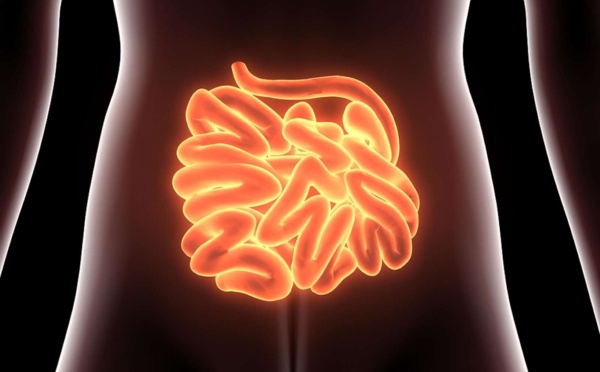 Infarctus digestif : quels sont les symptômes ?