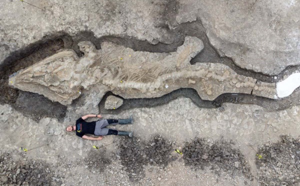 Un squelette presque complet de "dragon de mer" découvert au Royaume-Uni