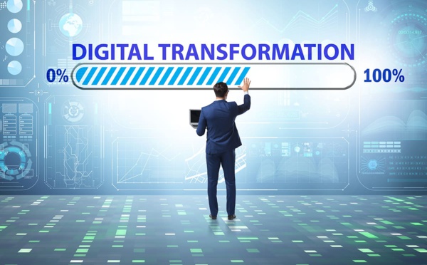 Transformation digitale (I) : les raisons du retard