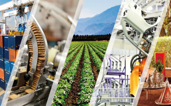 Conjoncture : Les principales tendances sectorielles