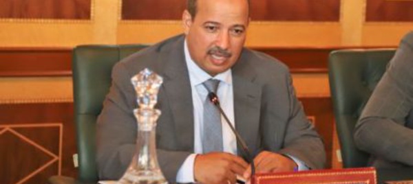 Mayara rencontre l'ambassadeur des Émirats arabes unis