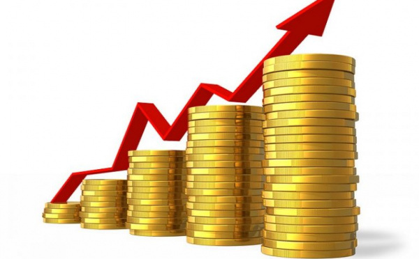 Les IDE augmentent de 20,5% en 2021