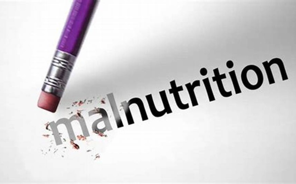 FAO: Environ 3 milliards de personnes n’ont pas les moyens de se permettre une alimentation saine