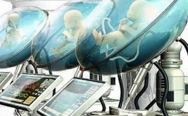 Chine : des chercheurs créent un ventre artificiel pour "fabriquer" des bébés