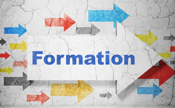 L'heureuse nécessité de se former tout au long de la vie