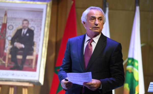 Maroc-RD Congo : Aujourd'hui, Halilhodzic fait le point