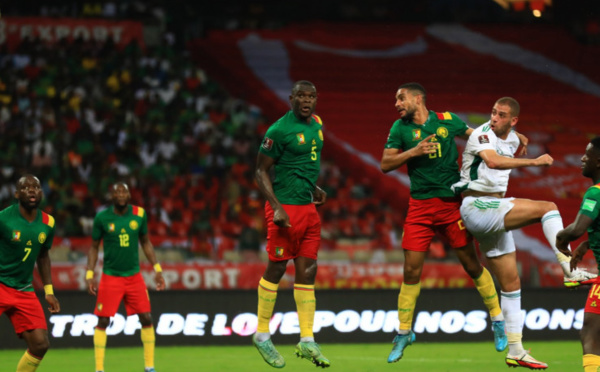 Mondial 2022 : Le Cameroun et la culture de l'exploit