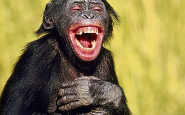 Le propre de l'homme 