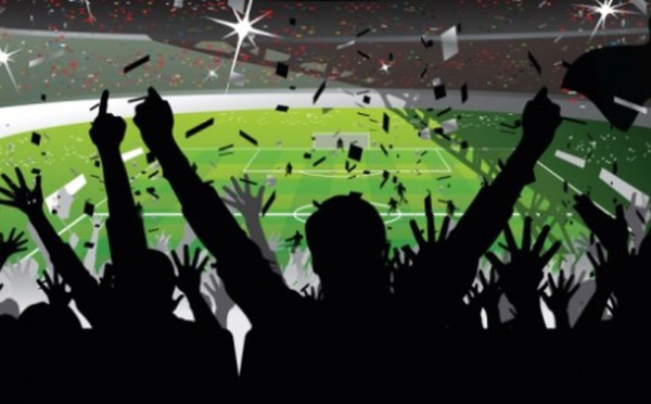 Typologie des supporters : Ce douzième homme de l'équipe.