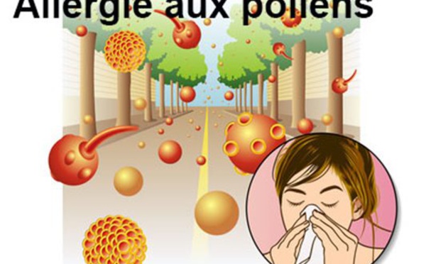 Allergies au pollen : des remèdes naturels existent