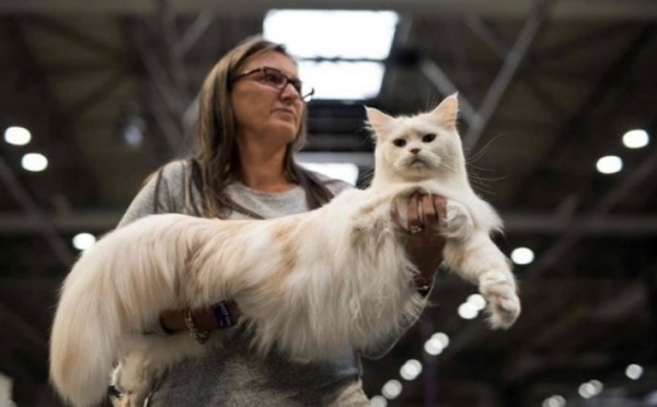 Guerre d'Ukraine : sanctions, le ridicule ne tue pas