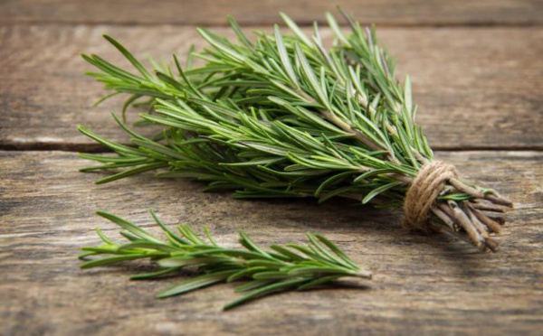 7 utilisations inhabituelles du romarin